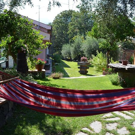 Le Case Di Bacco Santa Venerina Rum bild